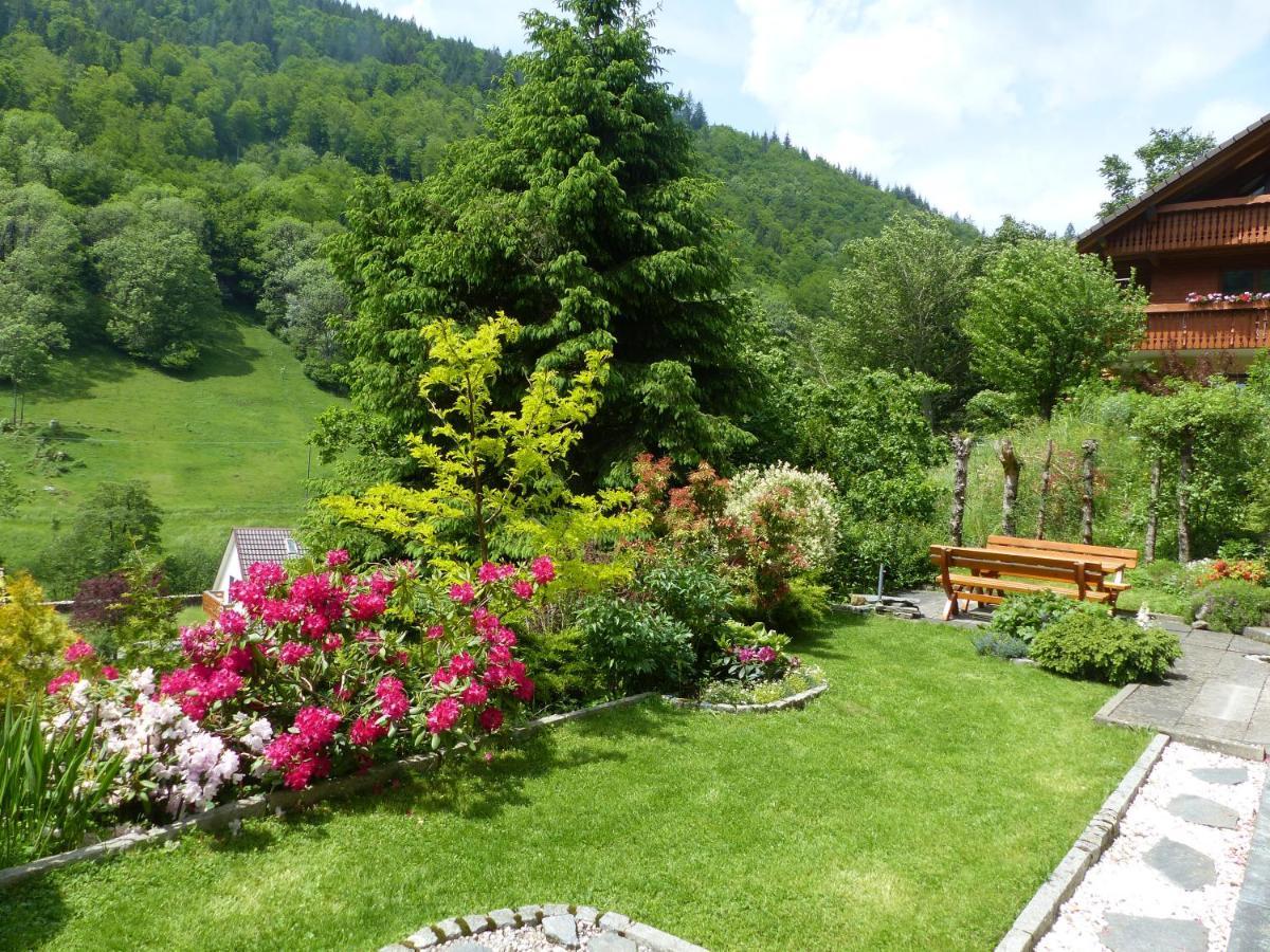 Appartamento Haus Zur Eule Todtnau Esterno foto