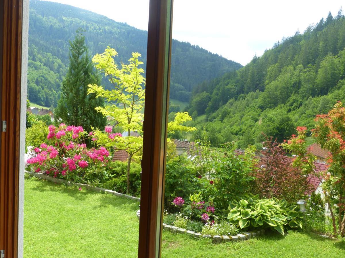 Appartamento Haus Zur Eule Todtnau Esterno foto